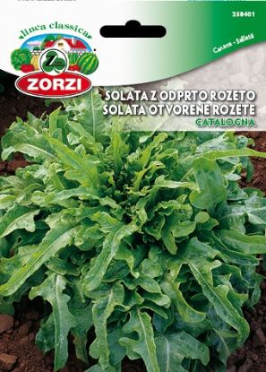 Picture of Lettuce Catalogna - Zorzi seed packet