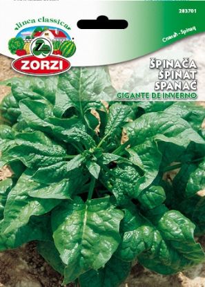 Picture of Spinach Gigante Di Inverno - Zorzi seed packet