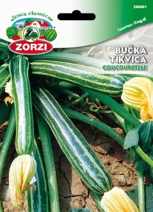 Picture of Bučke Coucourzelle - Semenska vrečka Zorzi