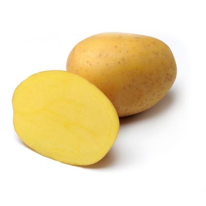 Picture of Anuschka seed potatoes, A 28/35, 25kg