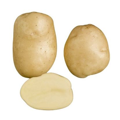 Picture of Primura seed potatoes, A 35/55, 5kg