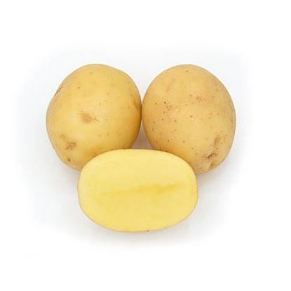 Slika Actrice krompir semenski A 35/55 10kg