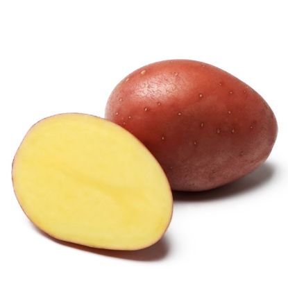 Picture of Red Fantasy seed potatoes, A 35/55, 25kg