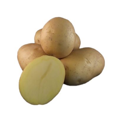 Picture of Montreal seed potatoes, A 35/55, 25kg