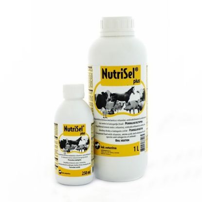 Picture of Nutrisel 250ml