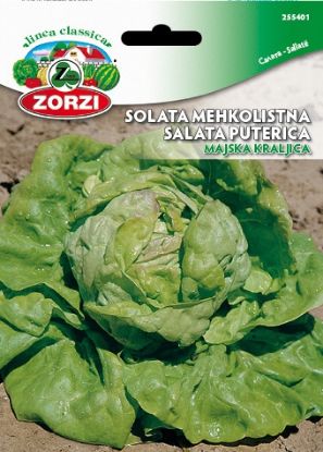 Bild von Salat Maikönigin, 50g