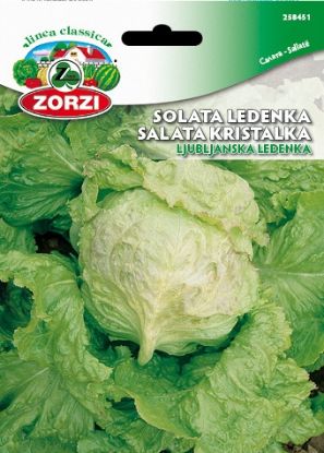 Picture of Ljubljana Iceberg lettuce, 50g