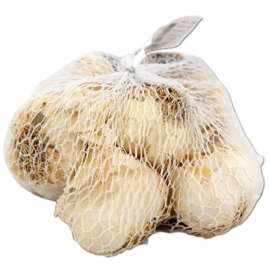 Bild von Winterpflanzknoblauch, weiß, Messidrome, 500g, 50-60mm