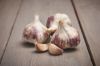 Bild von Winterpflanzknoblauch, lila, Germidour, 500g, 50-60 mm