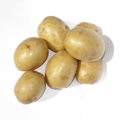 Picture of Gala seed potatoes, A 35/55, 25kg