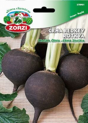 Picture of Black Winter radish, 50g