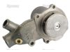 Picture of Water pump, Massey Ferguson 390, U5MW0108, S-44