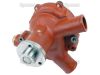 Picture of Water pump Fiat 850 - 8829787