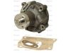 Picture of Water pump Fiat, 4784454