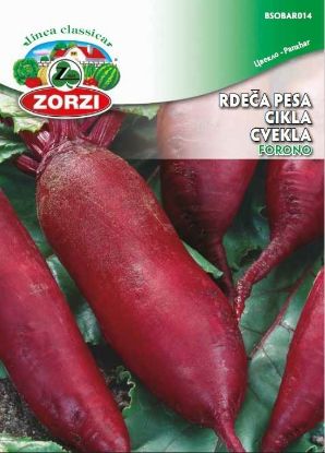 Picture of Beetroot Forono 1145 - Zorzi seed packet