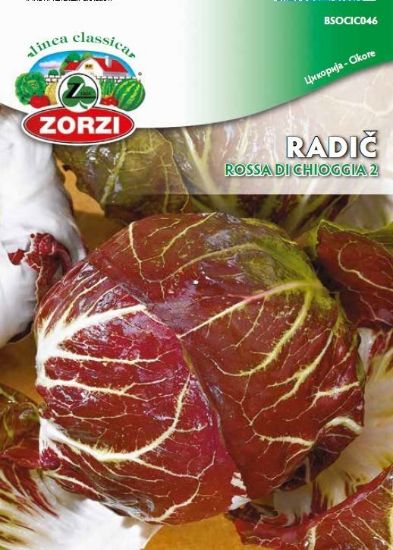 Picture of Chicory Rossa di Chioggia 2, 1206 - Zorzi seed packet