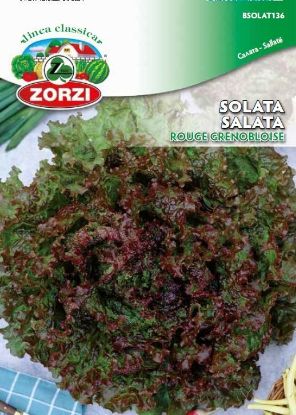 Picture of Lettuce Grenoble Red 1226 - Zorzi seed packet