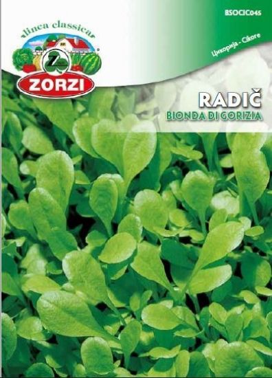 Picture of Chicory Bionda di Gorizia 1204 - Zorzi seed packet