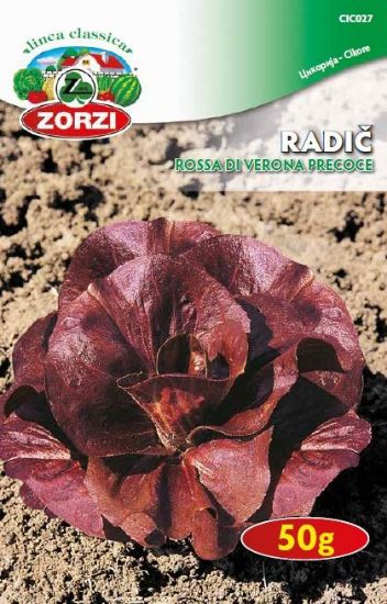 Picture of Chicory Rossa di Verona Precoce, 50g