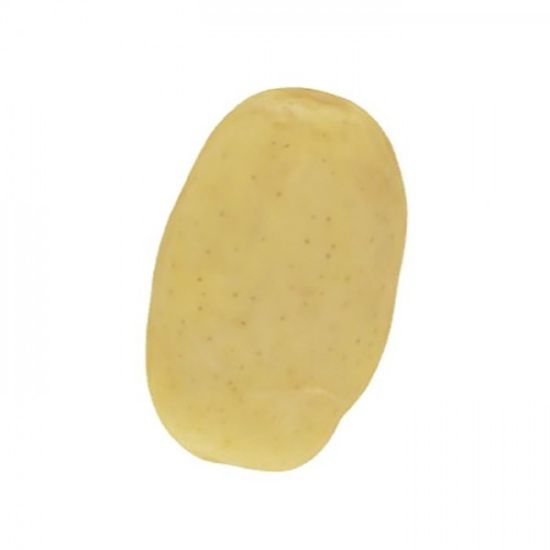 Picture of Camelia seed potatoes, A 35/55, 25kg