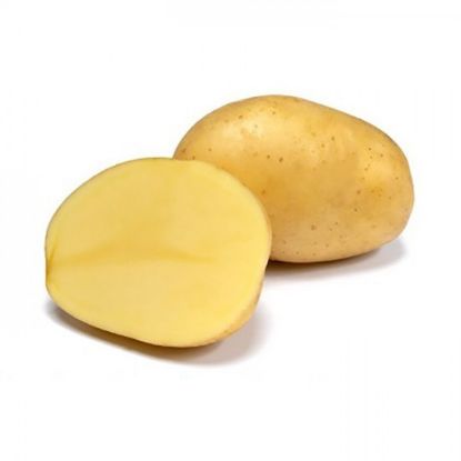 Picture of Otolia seed potatoes, A 28/35, 25kg