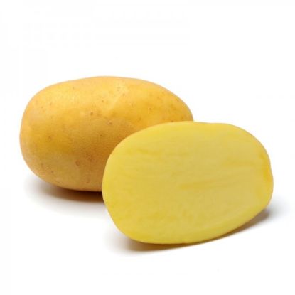 Picture of Agria seed potatoes, A 28/35, 25kg