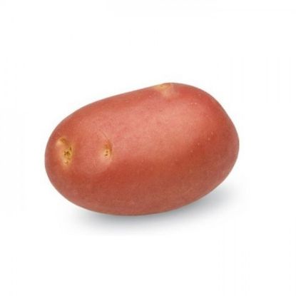 Slika Mozart krompir semenski A 28/35 2,5kg