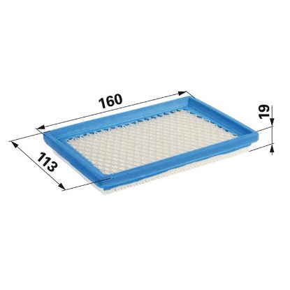 Slika Filter zraka Briggs 397795 - 160x113x19 mm